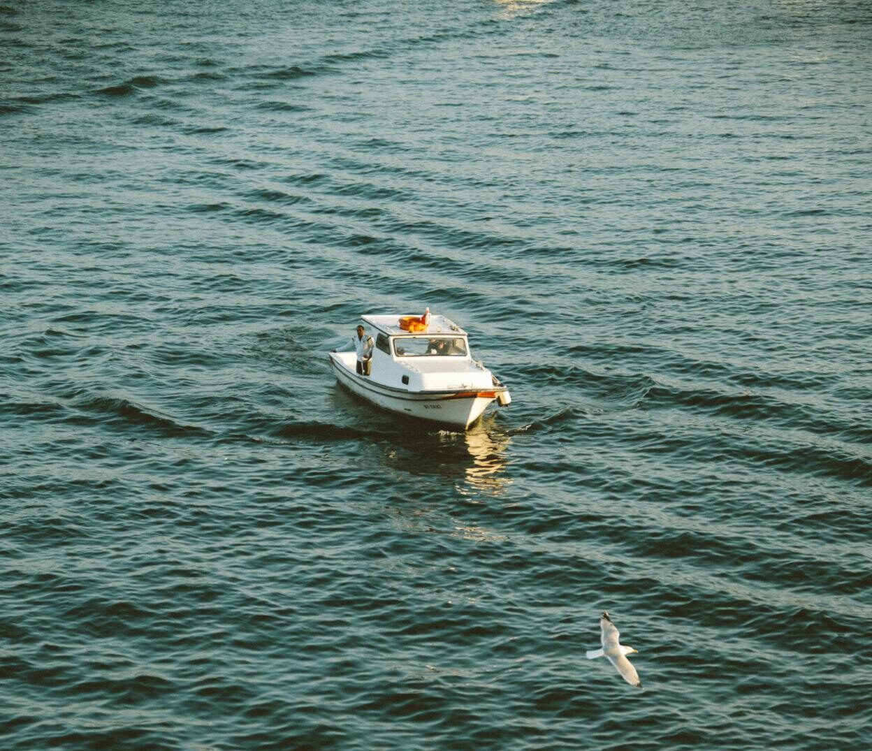 mini cruceros