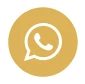 whatsapp icon